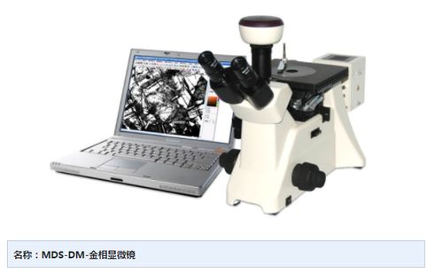 金相显微镜价格 买实验仪器到天津莱试 沧州金相显微镜
